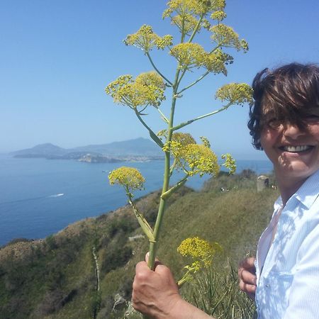 Mary'S Dream - Villa Overlooking Capri And Ischia In Sorrento Peninsula Маса Лубрензе Екстериор снимка